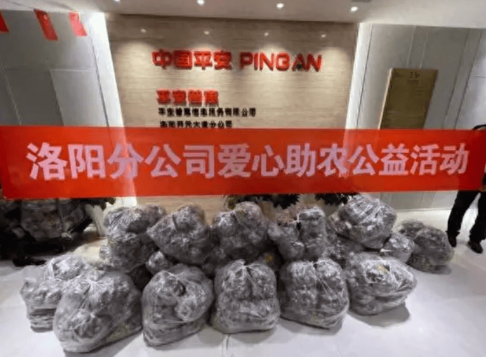 招联消费金融人工客服电话